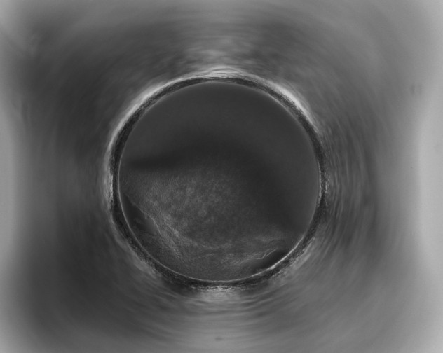 X0000096711414200802051411