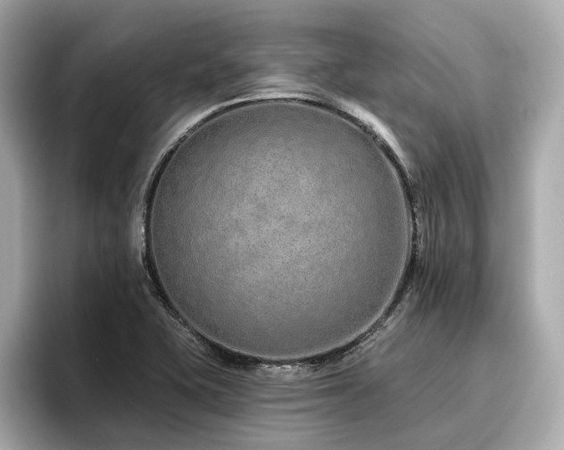 X0000096711415200802051411