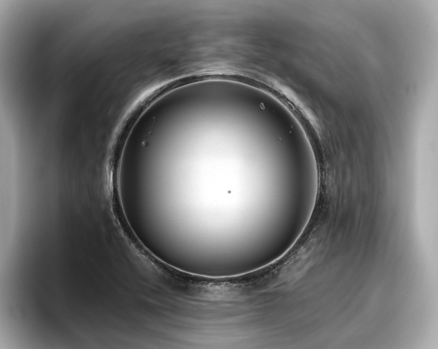 X0000096711416200802051411