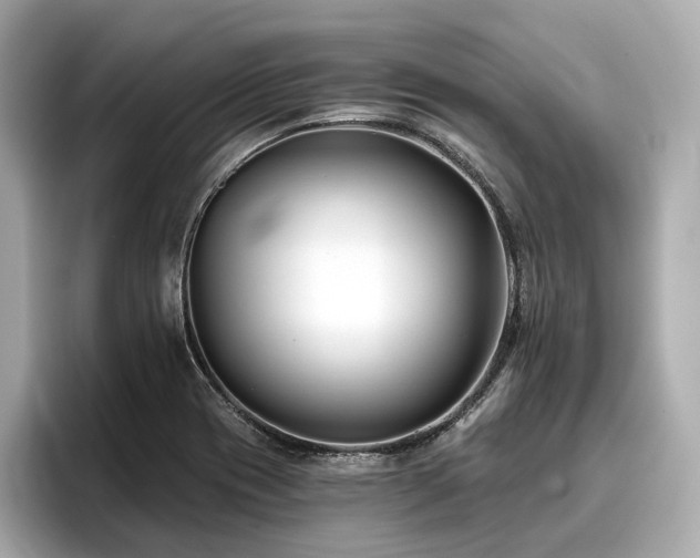 X0000096711417200802051411