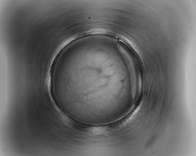 X0000096711418200802051411