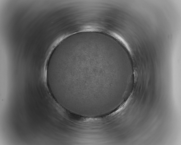 X0000096711419200802051411