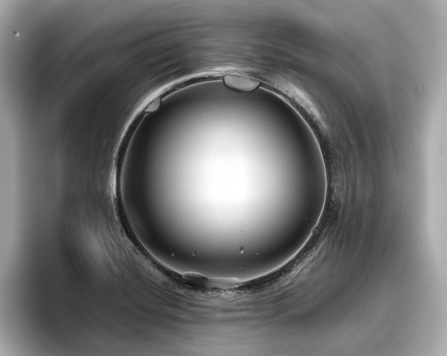 X0000096711420200802051411