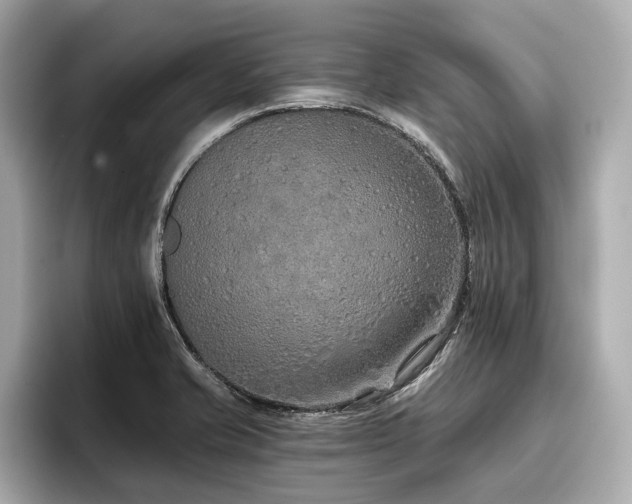 X0000096711421200802051411