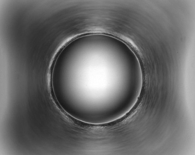 X0000096711424200802051412