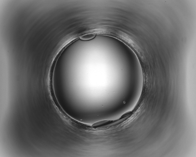 X0000096711426200802051412