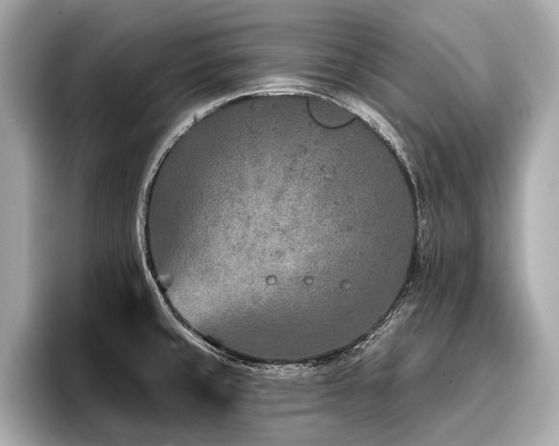 X0000096711429200802051412