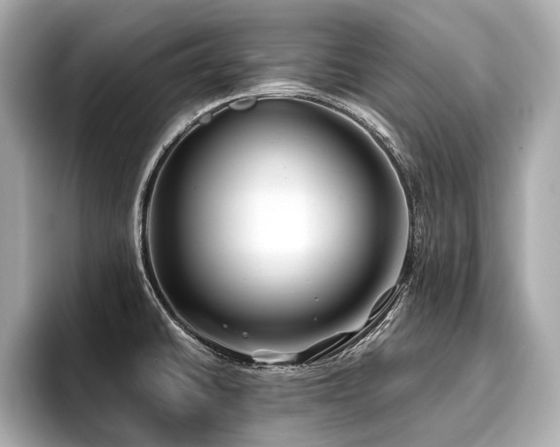 X0000096711430200802051412