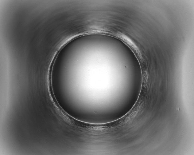 X0000096711431200802051412