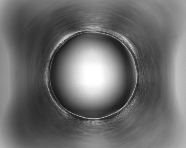 X0000096711432200802051412