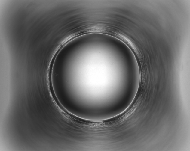 X0000096711434200802051412