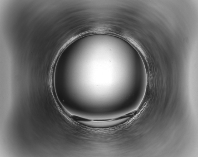 X0000096711437200802051412