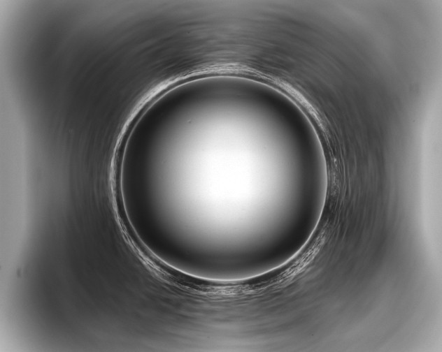 X0000096711438200802051412