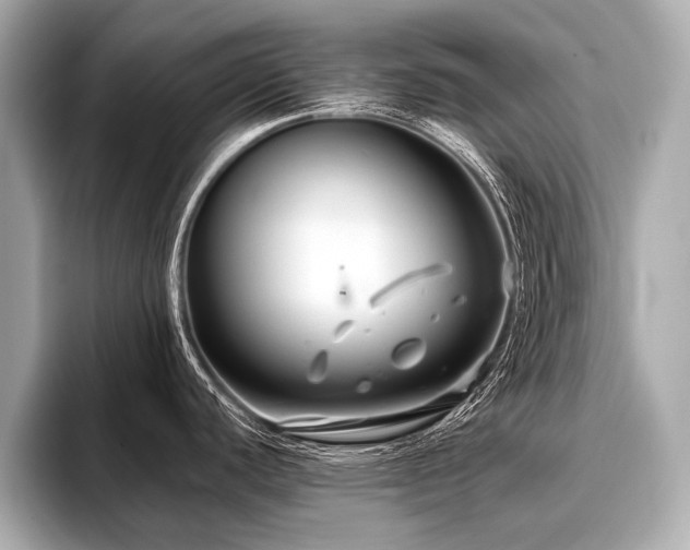 X0000096711440200802051412