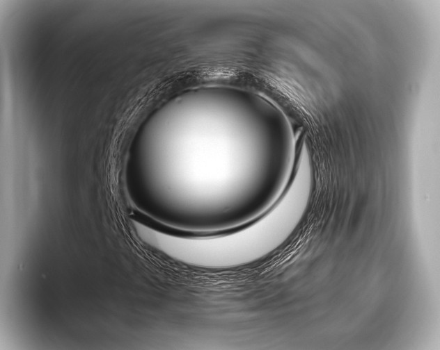 X0000096711441200802051411