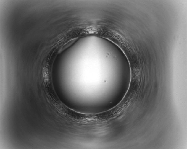 X0000096711442200802051411