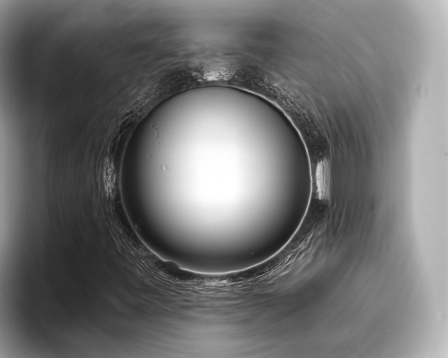 X0000096711443200802051411