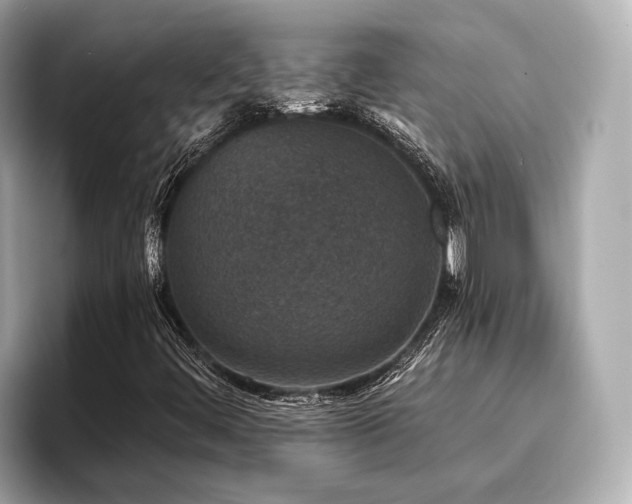 X0000096711444200802051411