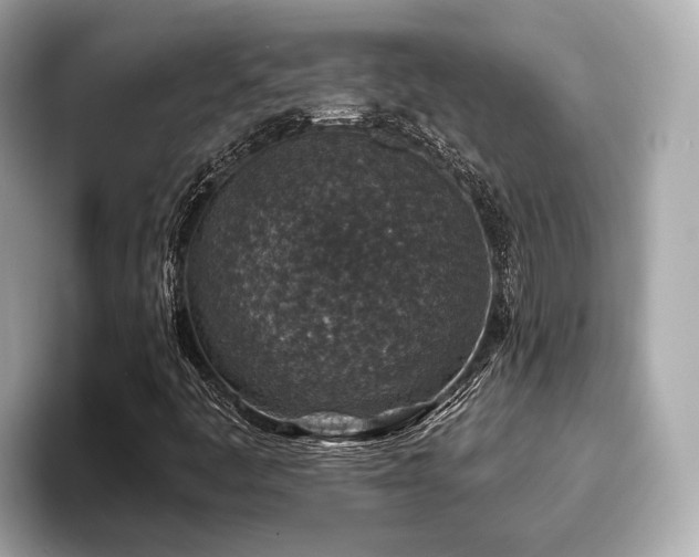 X0000096711445200802051411