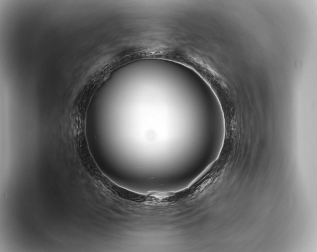 X0000096711447200802051411