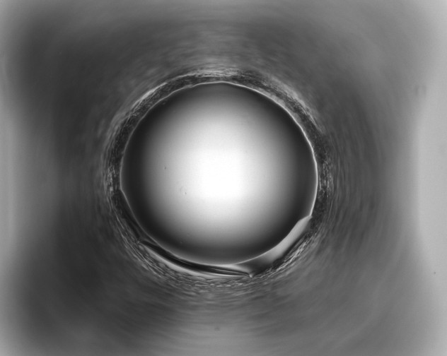 X0000096711448200802051411