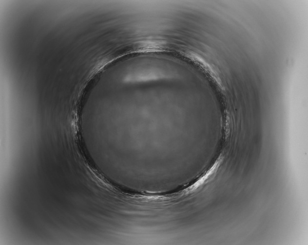 X0000096711449200802051411