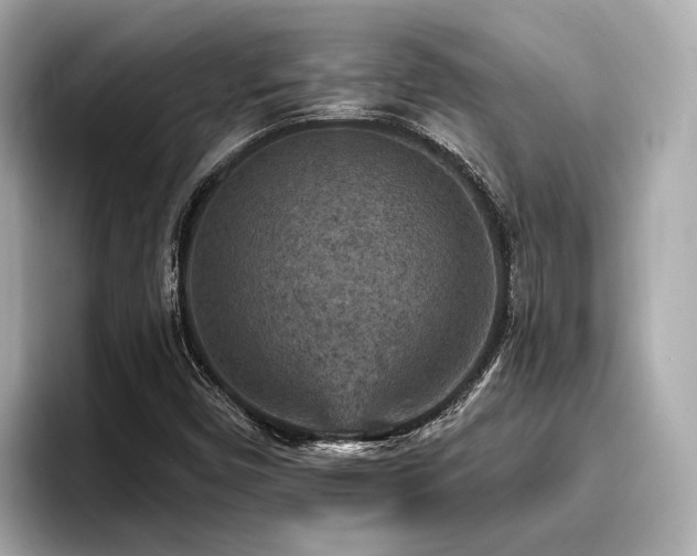 X0000096711450200802051411