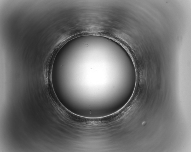 X0000096711451200802051411