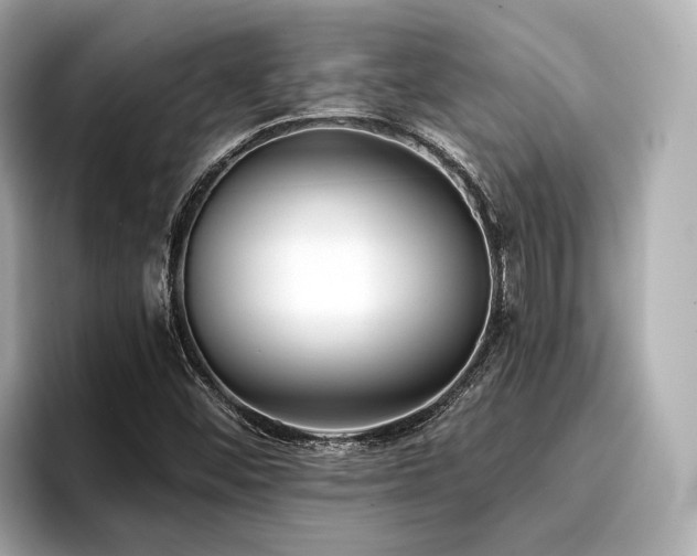 X0000096711452200802051411