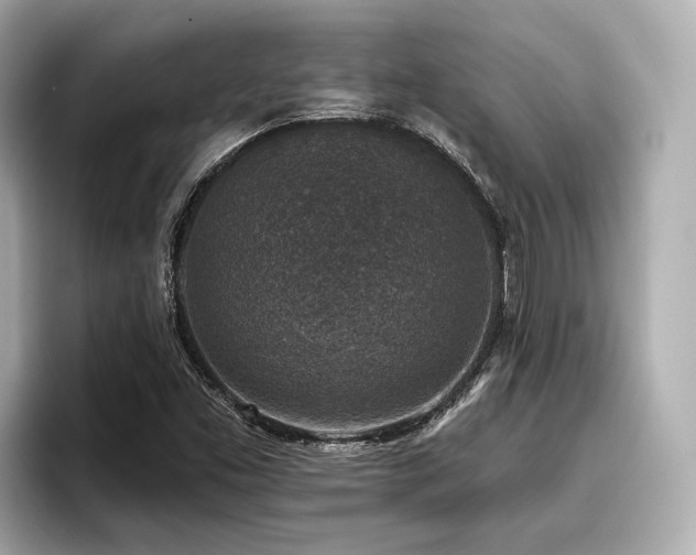 X0000096711453200802051411