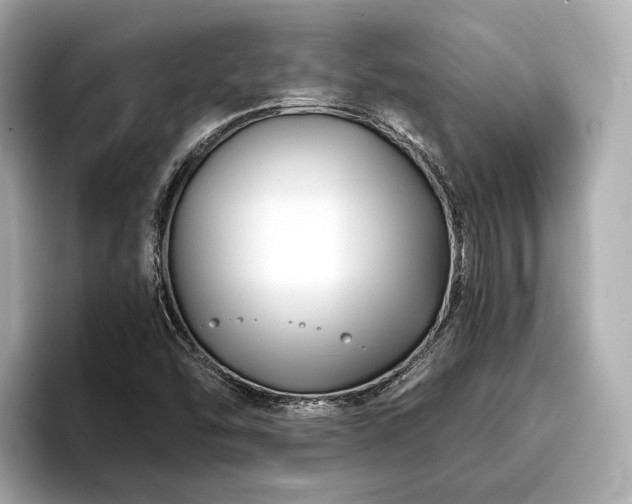 X0000096711454200802051411