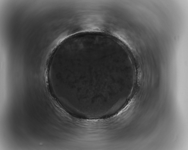 X0000096711455200802051411