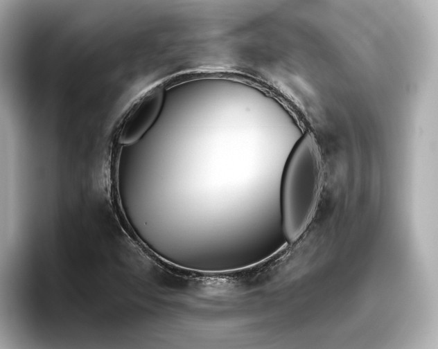 X0000096711456200802051411