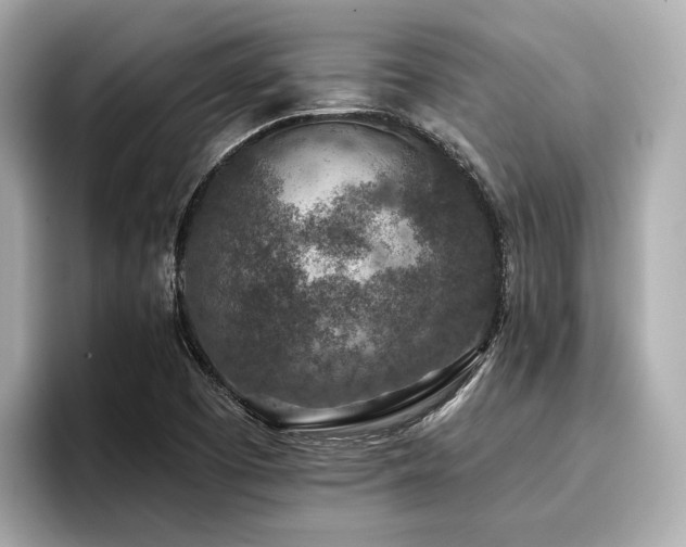 X0000096711457200802051411