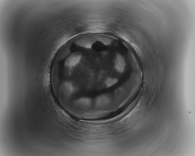 X0000096711459200802051411