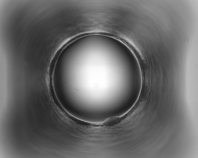 X0000096711460200802051411