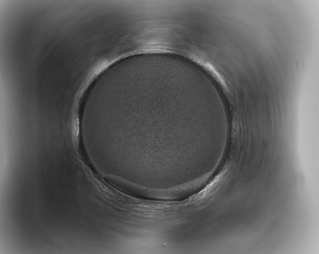 X0000096711461200802051411