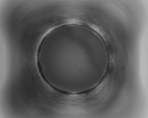 X0000096711463200802051411