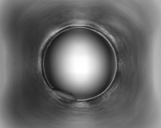 X0000096711464200802051411