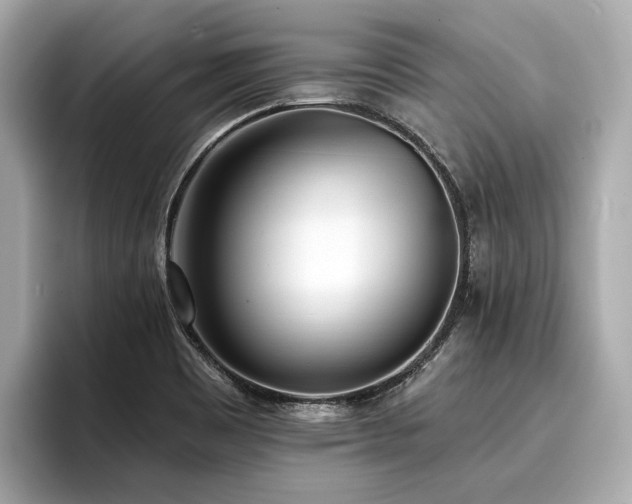 X0000096711465200802051411