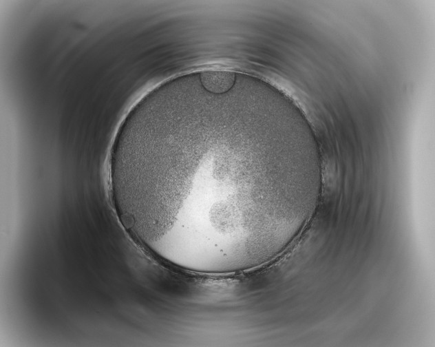 X0000096711466200802051411