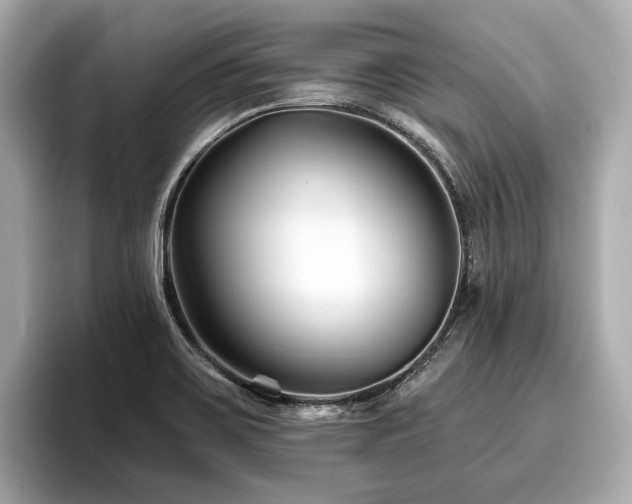 X0000096711467200802051411