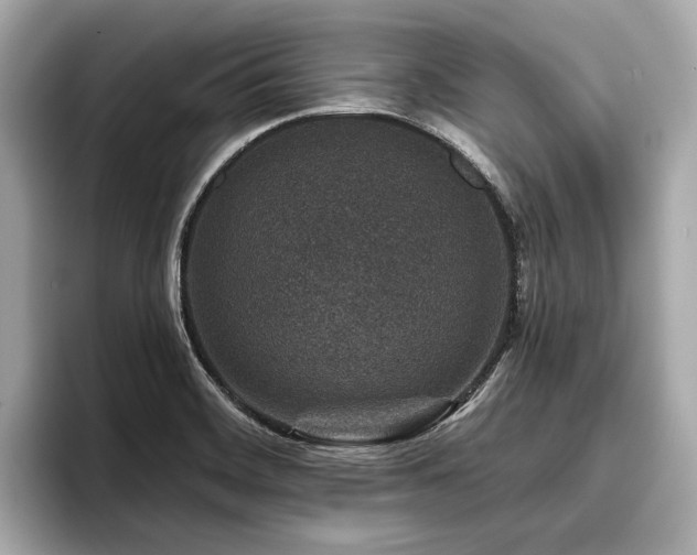 X0000096711468200802051411