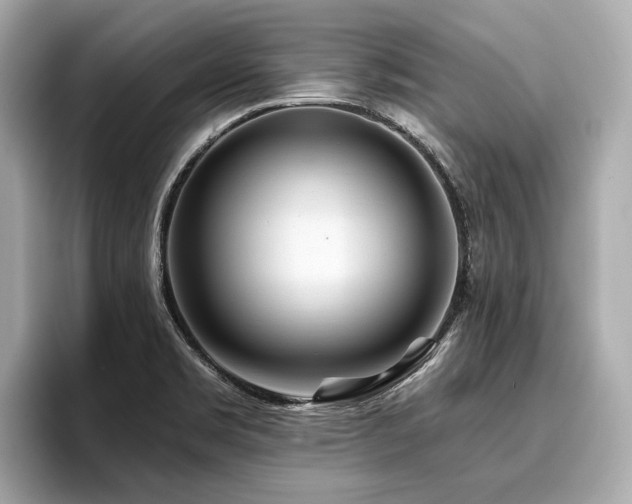 X0000096711469200802051411