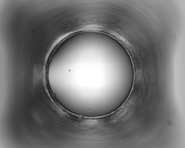 X0000096711470200802051411