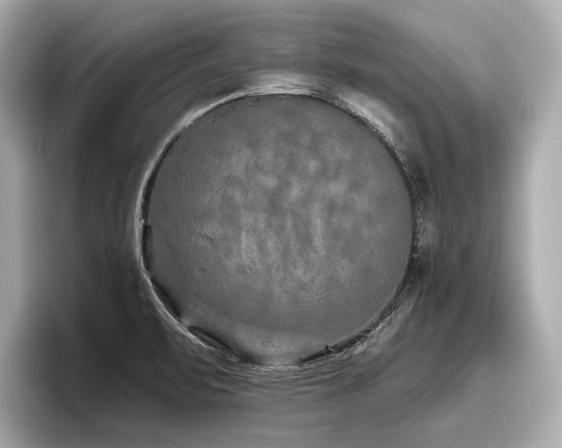 X0000096711471200802051411