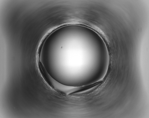 X0000096711472200802051411