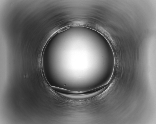 X0000096711473200802051411