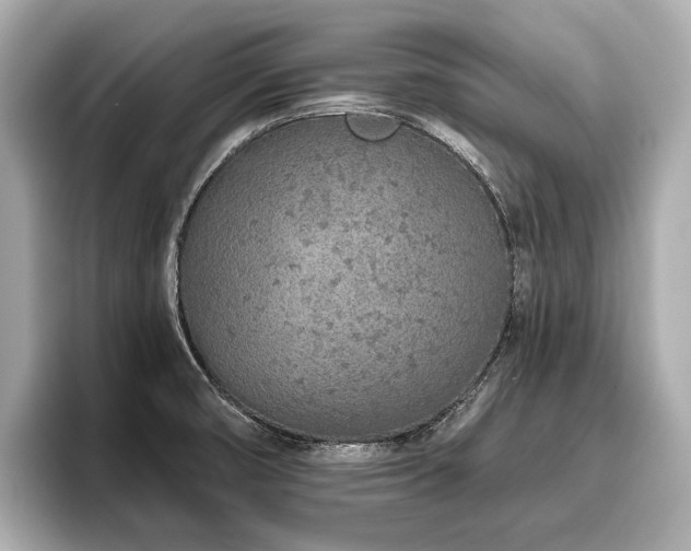 X0000096711474200802051410