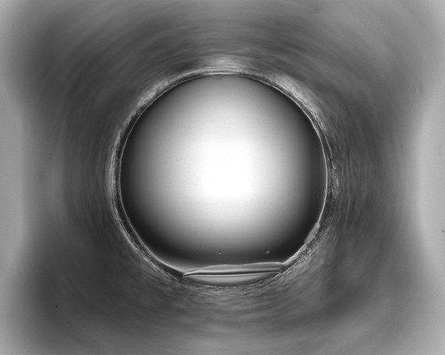 X0000096711477200802051410